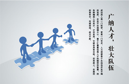 人力资源管理师在企业咨询中的价值与实践路径