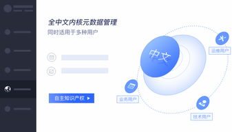 深度解析亿信元数据管理系统espowerMeta 数据清洗与元数据管理的企业级实践